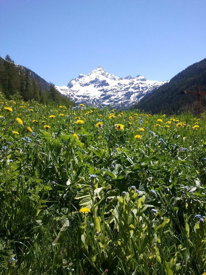 La Niche B&B La Thuile Kültér fotó