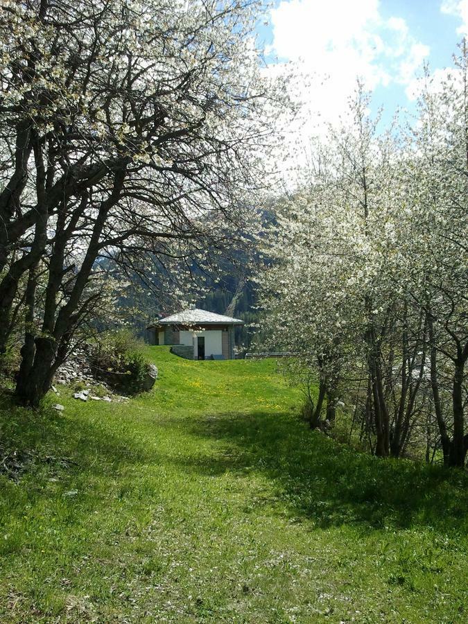 La Niche B&B La Thuile Kültér fotó